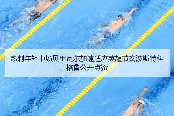 热刺年轻中场贝里瓦尔加速适应英超节奏波斯特科格鲁公开点赞 - bet365